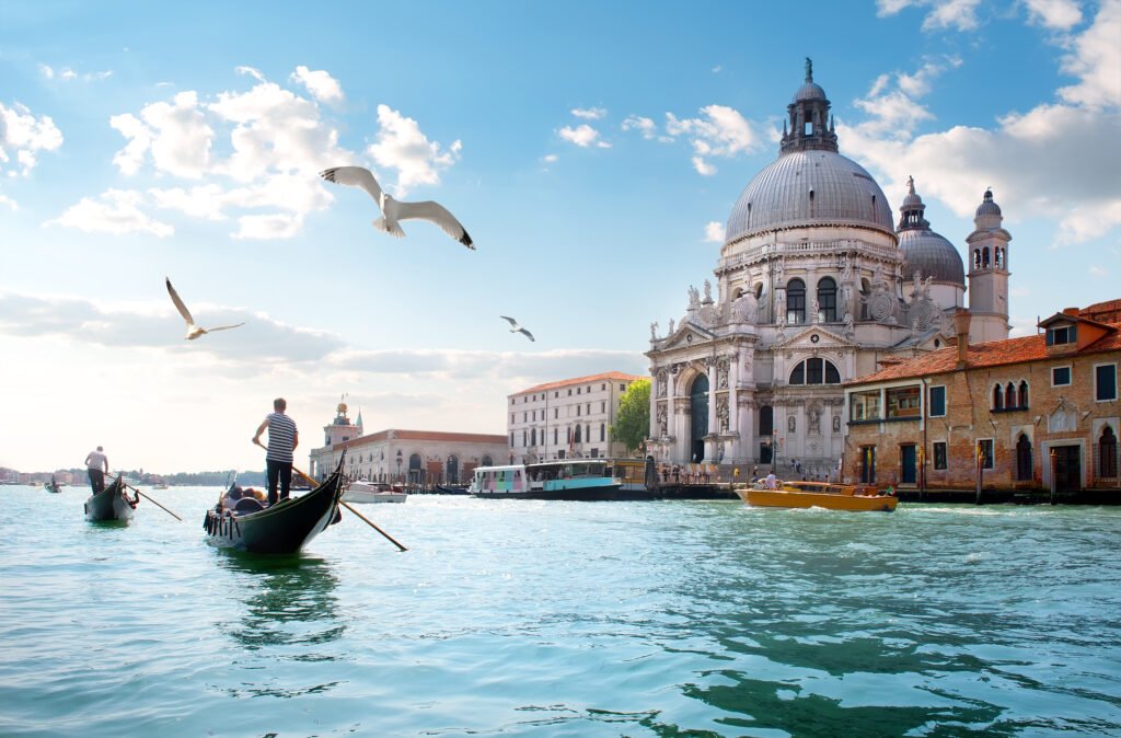 Gulls over Grand Canal