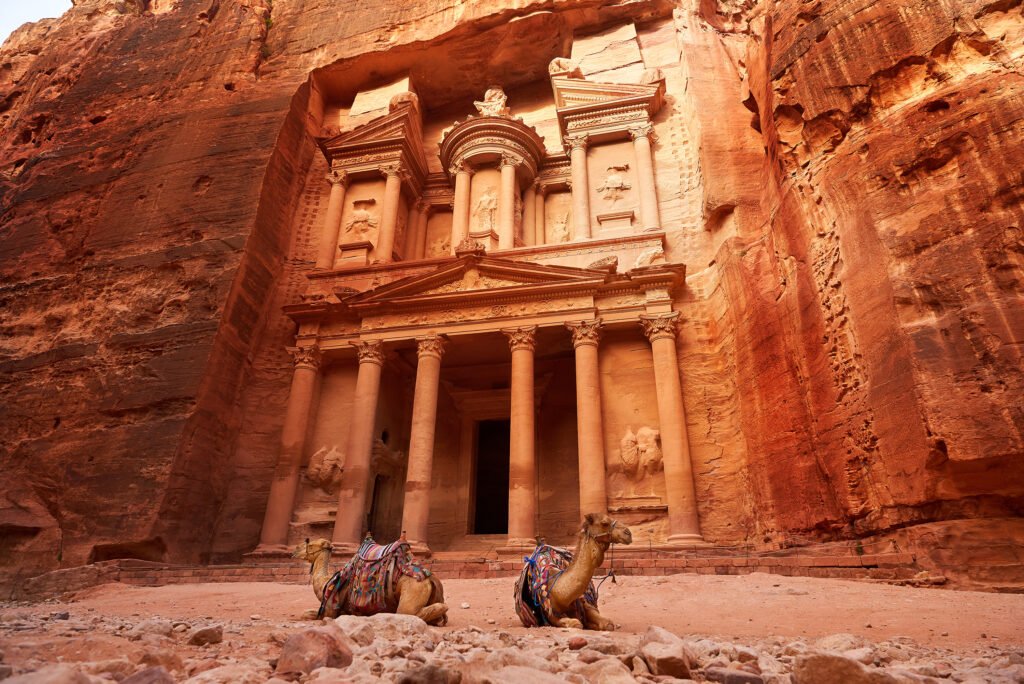 Treasury+and+Camels+7