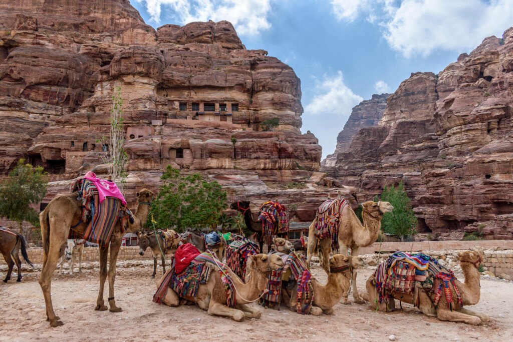 Camels resting in the valley of red sandstone cliffs, and Nabataean rock caves and temples at Petra, Jordan.,Petra,Jordan