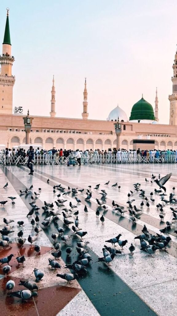 المدينه المنورة_