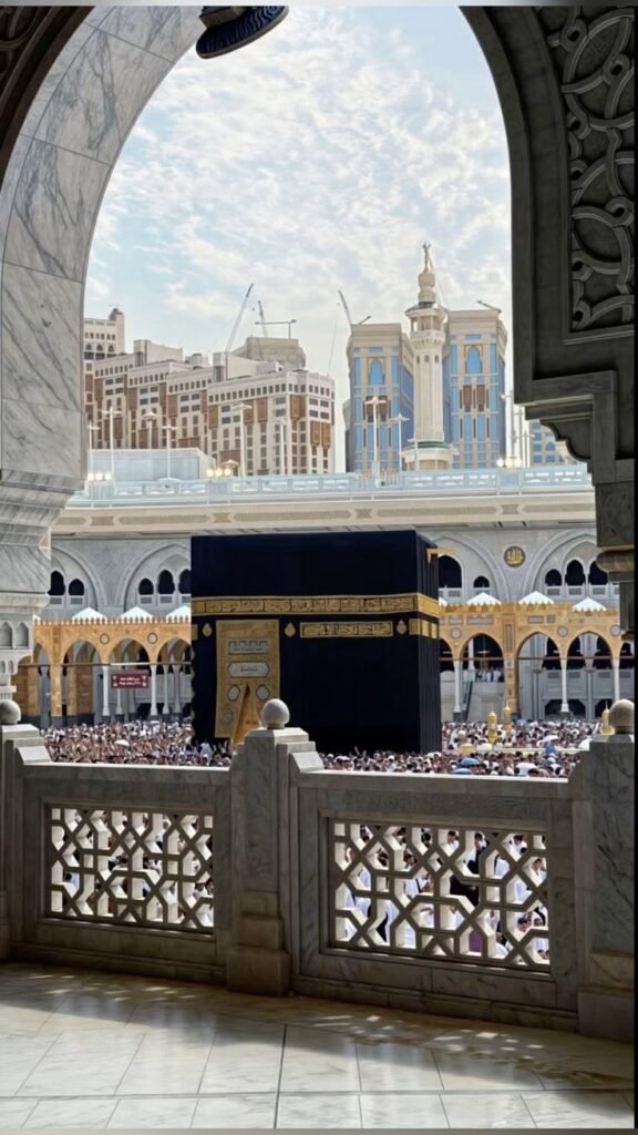 تنزيل (44)