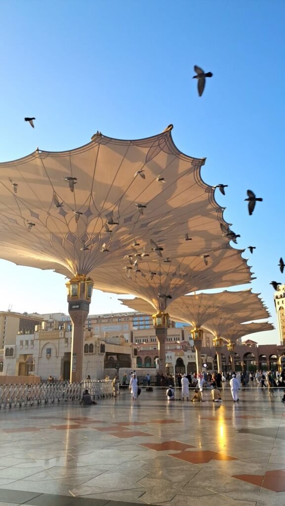 تنزيل (46)