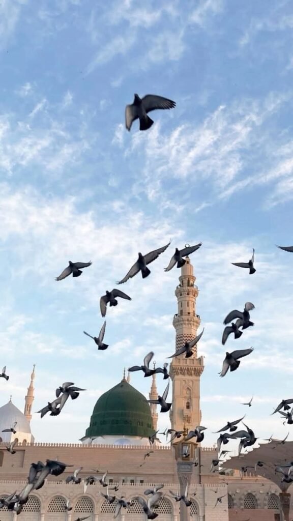 تنزيل (47)