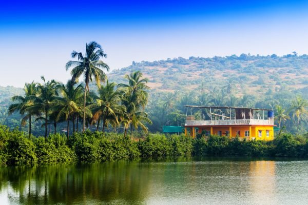 Horizontal vivid Indian house palms with river reflection background backdrop